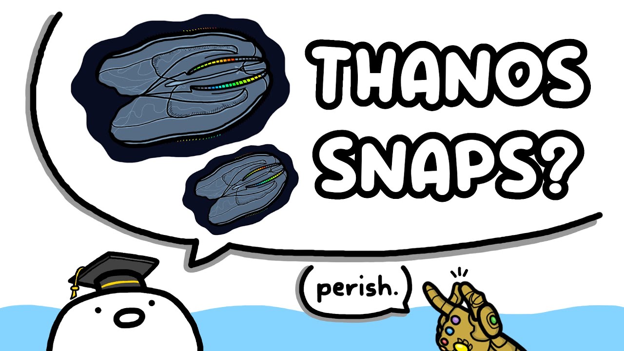 a short lesson on the COMB JELLY