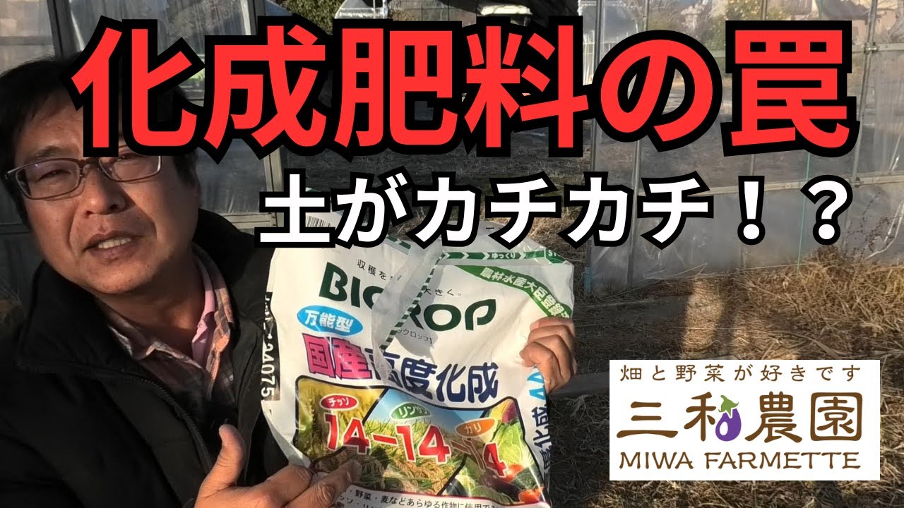 化成肥料を使い続けると土が全滅？土を硬くせず野菜を爆獲りする「たった1つの鉄則」（2026.1.21）