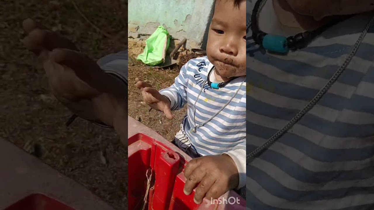 Village Life my daily vlogs