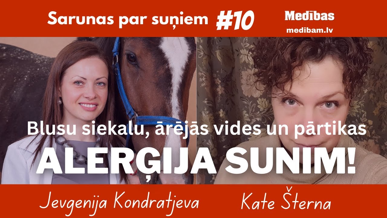 Kā atšķirt blusu siekalu, ārējās vides un pārtikas alerģiju sunim? Sarunas par suņiem #10