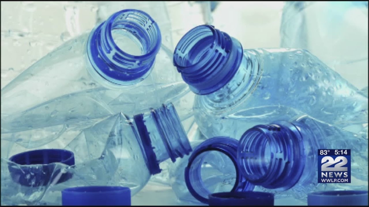 Food for Thought: BPA-free plastic containers may pose health risks