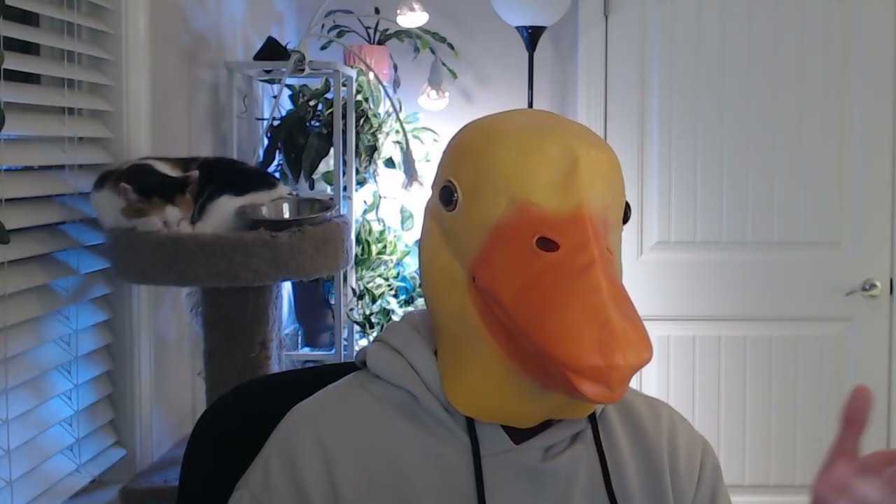 The IRS Says I Can’t Have a Roth IRA. Here’s How I Got One Anyway