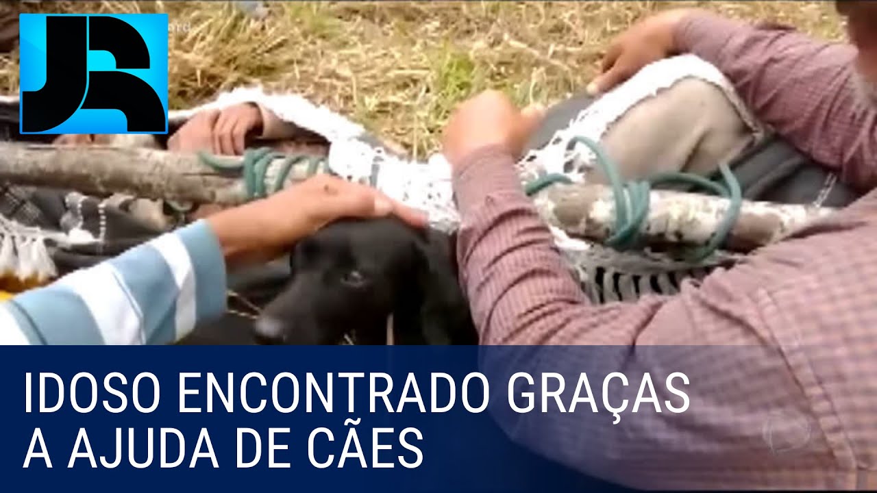 Cachorras ajudam a salvar idoso que ficou perdido em mata durante dez dias