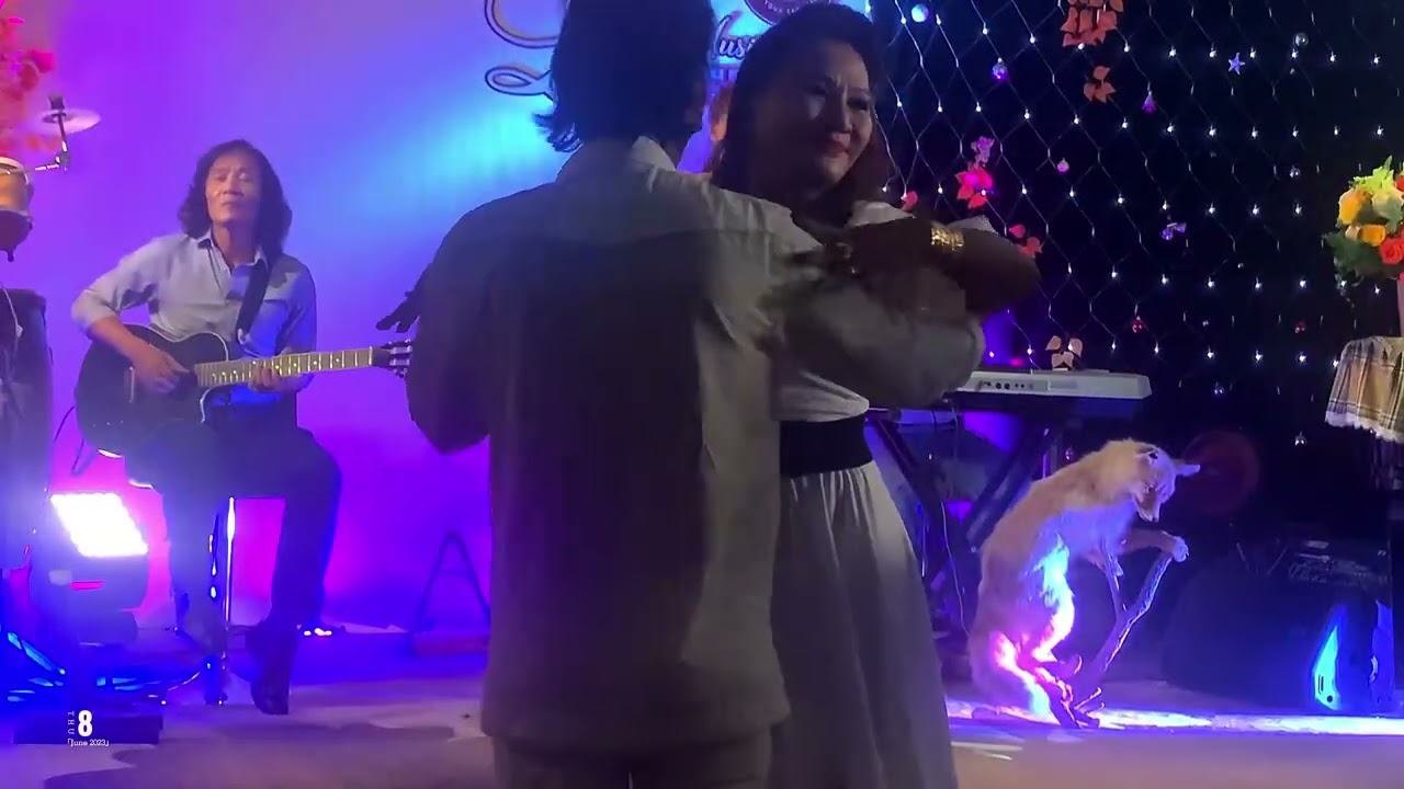 TÌNH CHO KHÔNG BIẾU KHÔNG (Nhạc ngoại lời việt) Tiếng hát NGA MY