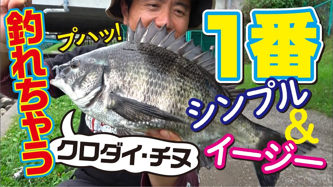 都市部の河川でクロダイ・チヌ釣り