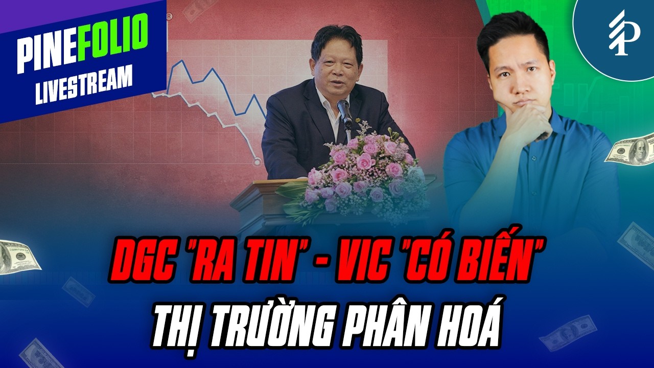 VN-Index đã tạo xong đáy? Dòng tiền sẽ chọn nhóm ngành nào? | Livestream PineFolio