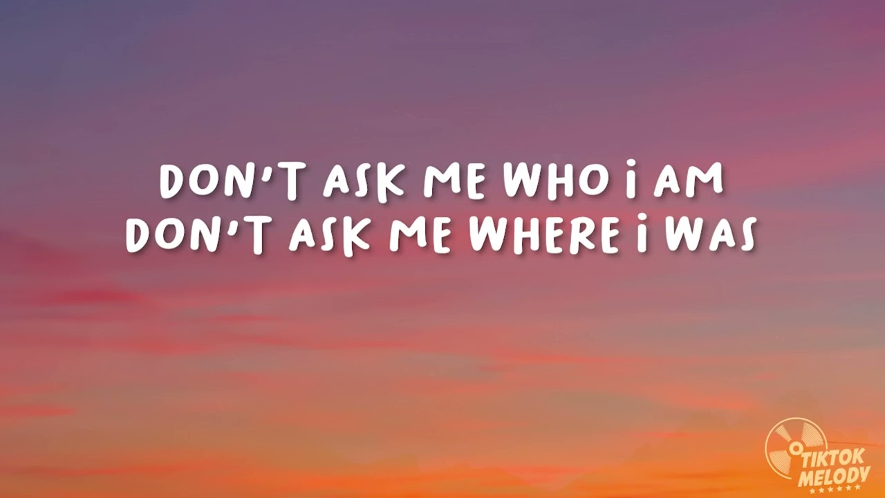 MGMT - Nothing To Declare (Lyrics)