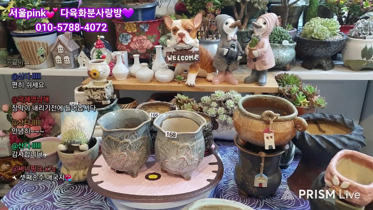 서울pink💕 다육화분 사랑이야기💕