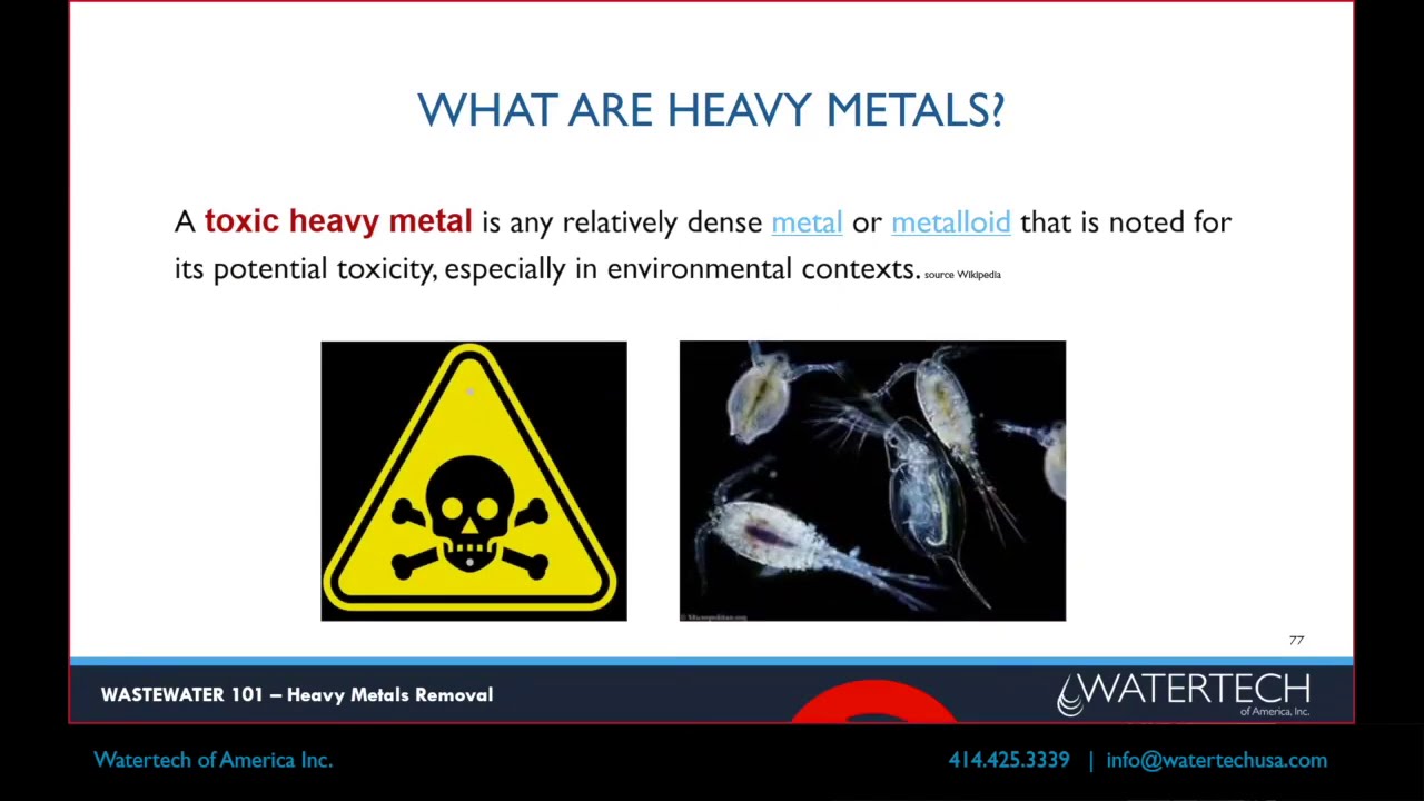 Wastewater: Heavy Metals Removal