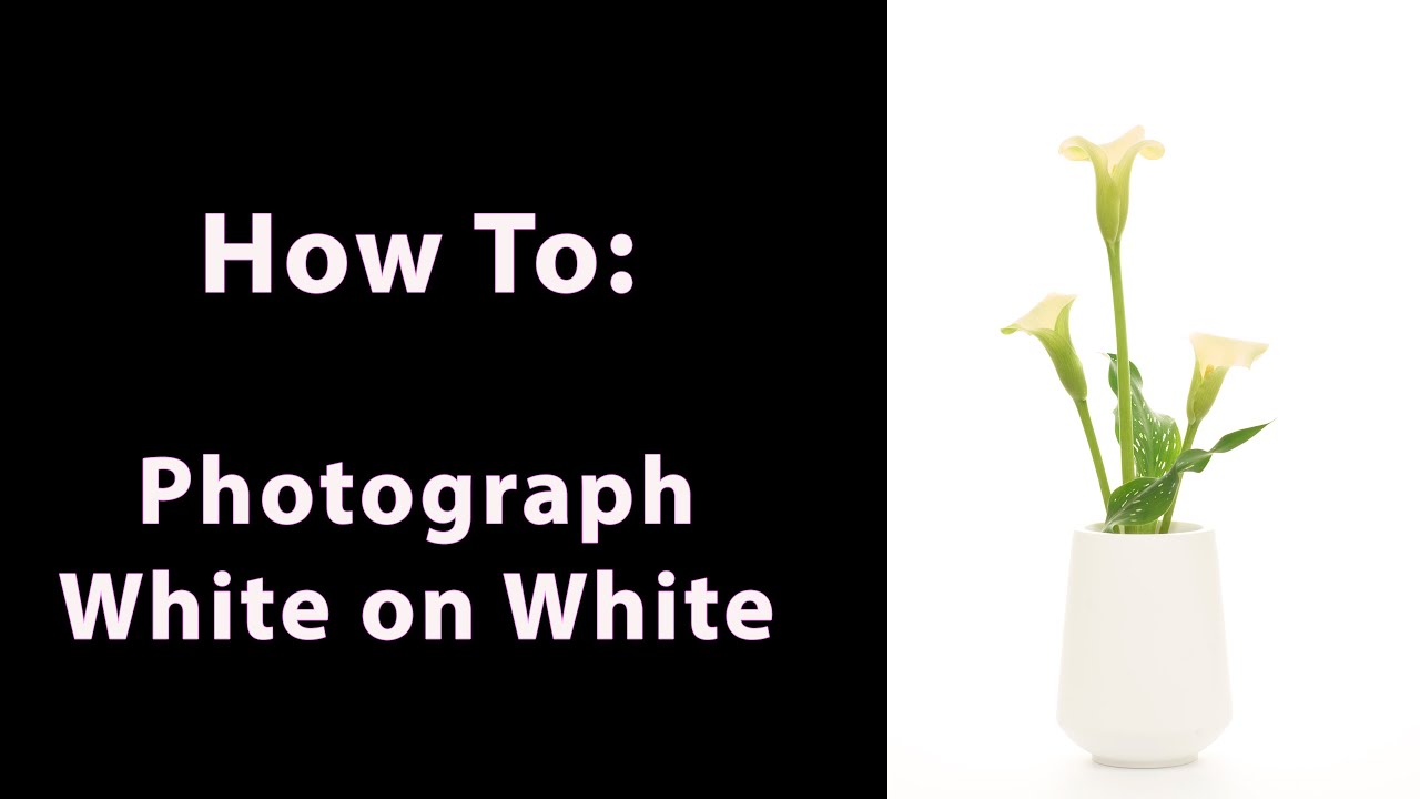 White on White   4K