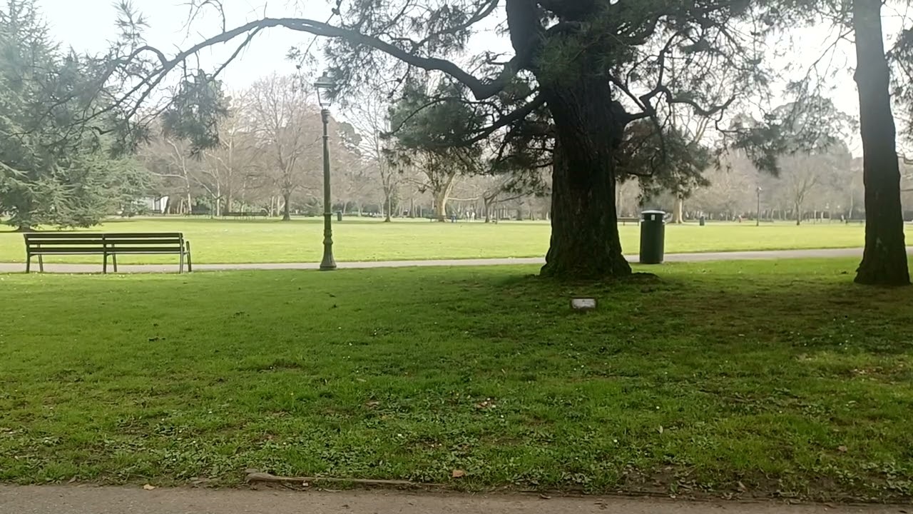 Slow Life | A Simple Bench - 5-minute deep focus on real life