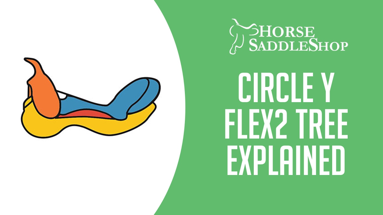 The Circle Y Flex 2 Tree Explained!