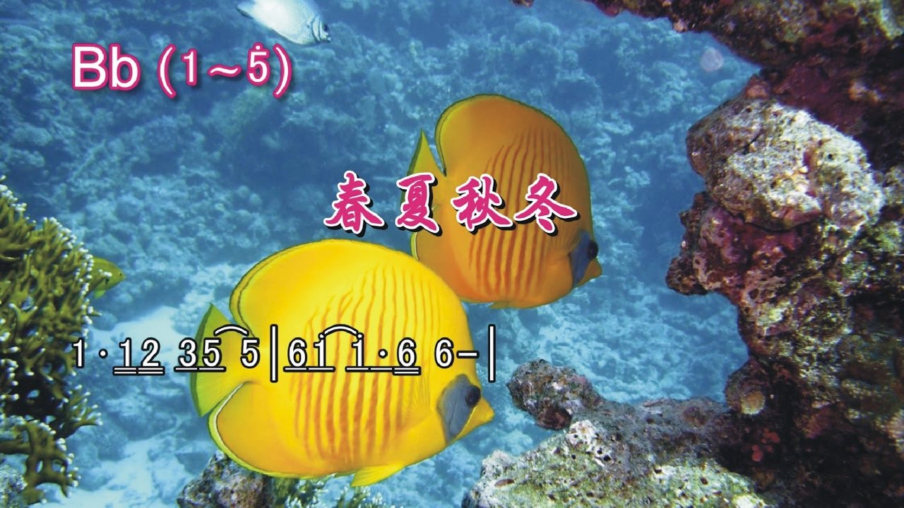 簡譜字幕KTV---春夏秋冬_Bb