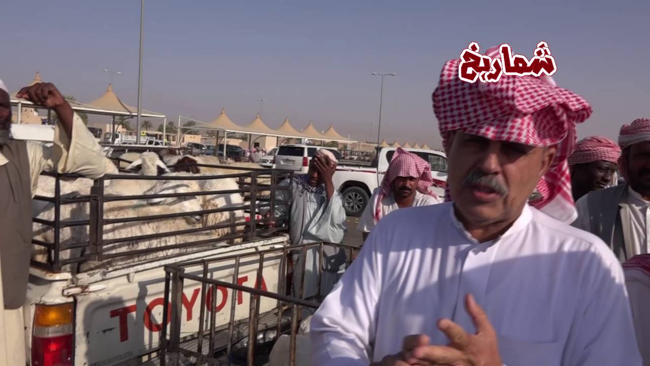 حقيقة انخفاض أسعار الأغنام - جولة في سوق المواشي في بريدة