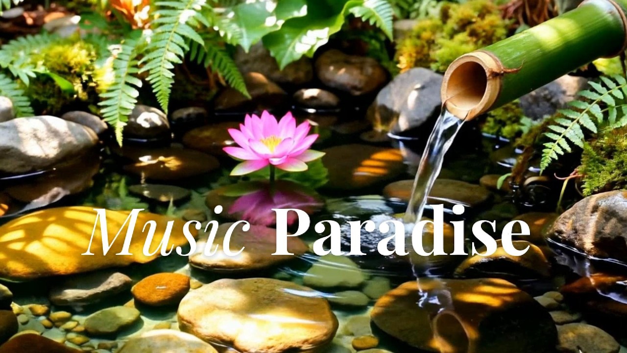Nature sounds for Sleeping [ calm mind & Body ] #relaxing