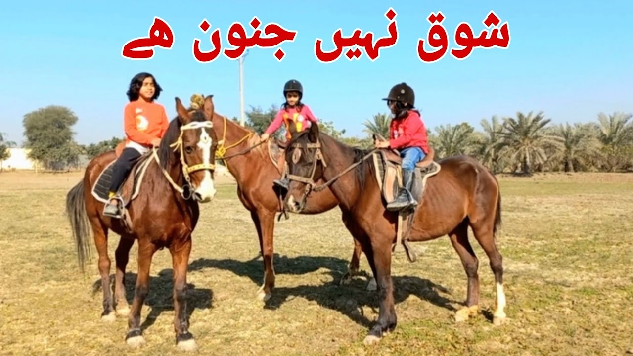 Visit UB stud farm Layyah