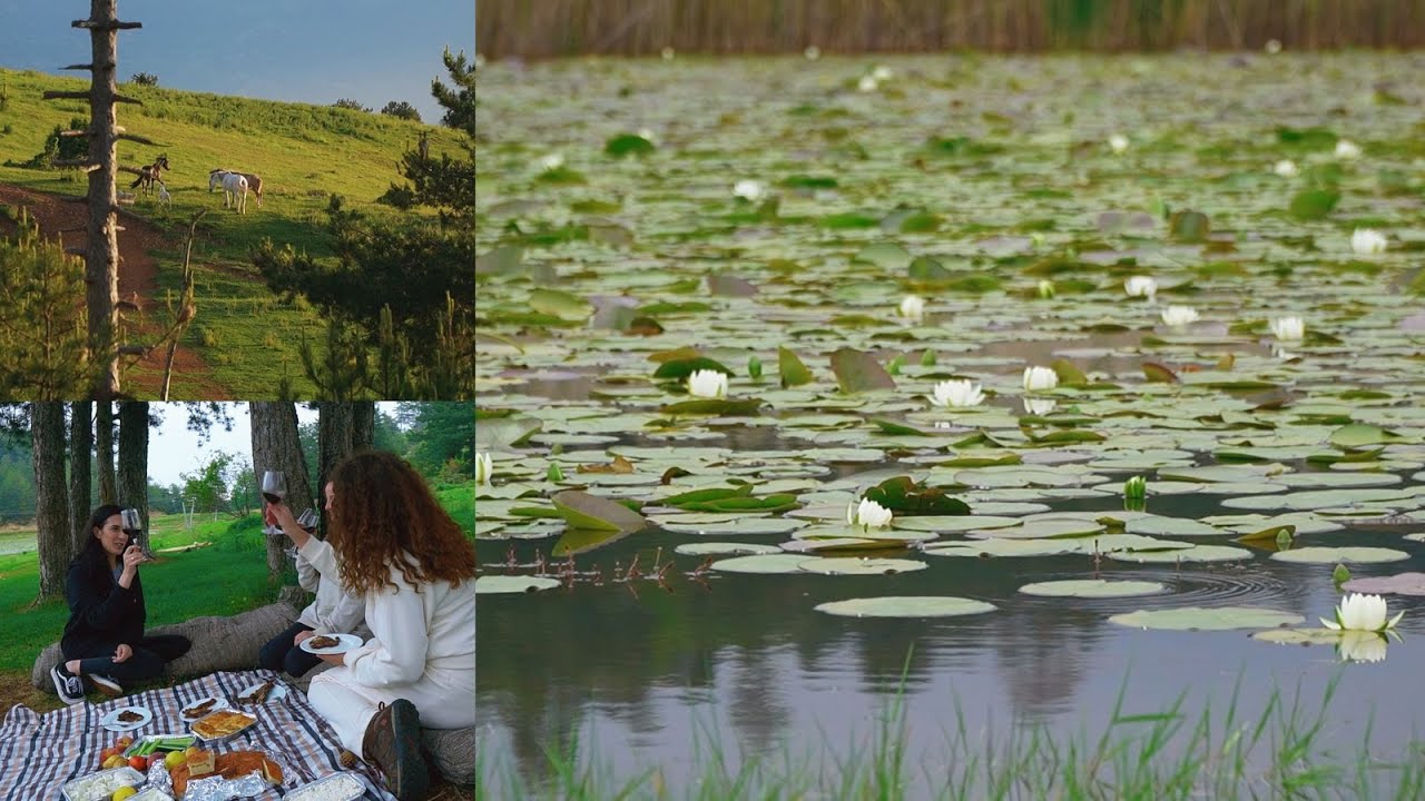 “Vendi me i bukur per piknik ne Shqiperi-Liqeni i Zambakeve ne Gramsh” - Destinacionet e Pazbuluara