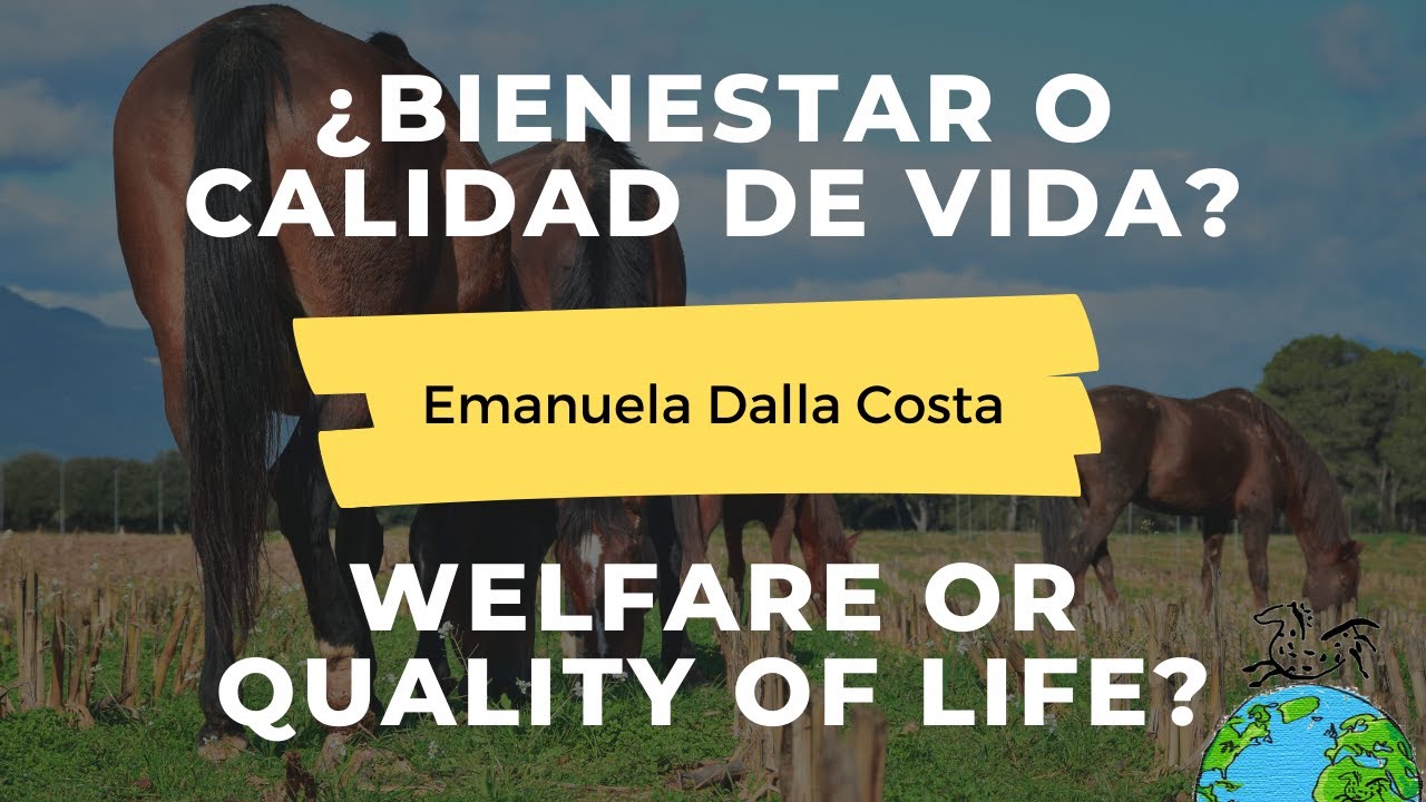 AWIN Equine Welfare Indicators by Emanuela Dalla Costa / Indicadores de Bienestar Equino