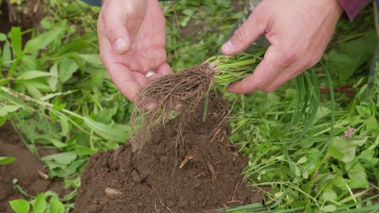 Unser Boden - Unser Leben: Informationsfilm für Landwirt:innen