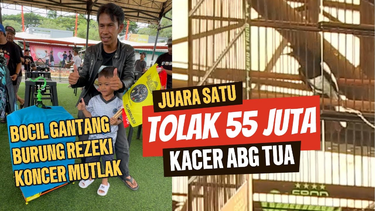 JUARA 1🔥KACER ABG TUA TOLAK 55 JUTA 😱 REZEKI BOCIL KONCER MUTLAK ‼️ K-SF FAMILY BOGOR #kicau #kacer
