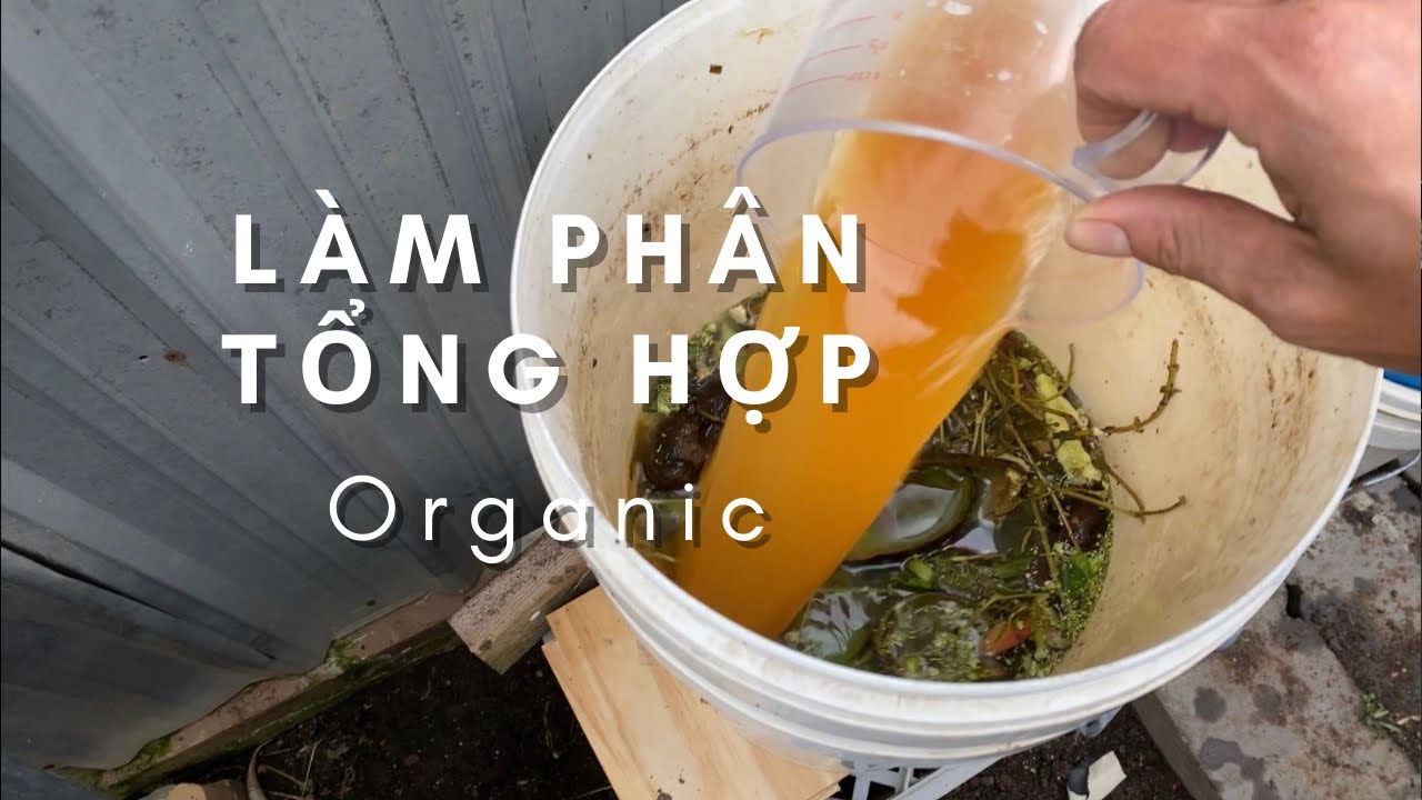 EM1 Xử Lý Rác Thải Làm Phân Tổng Hợp, Hạ Nhiệt Chống Xốc Cho Cây, Xử Lý Dòi Bằng Cà Phê Toan Trinh