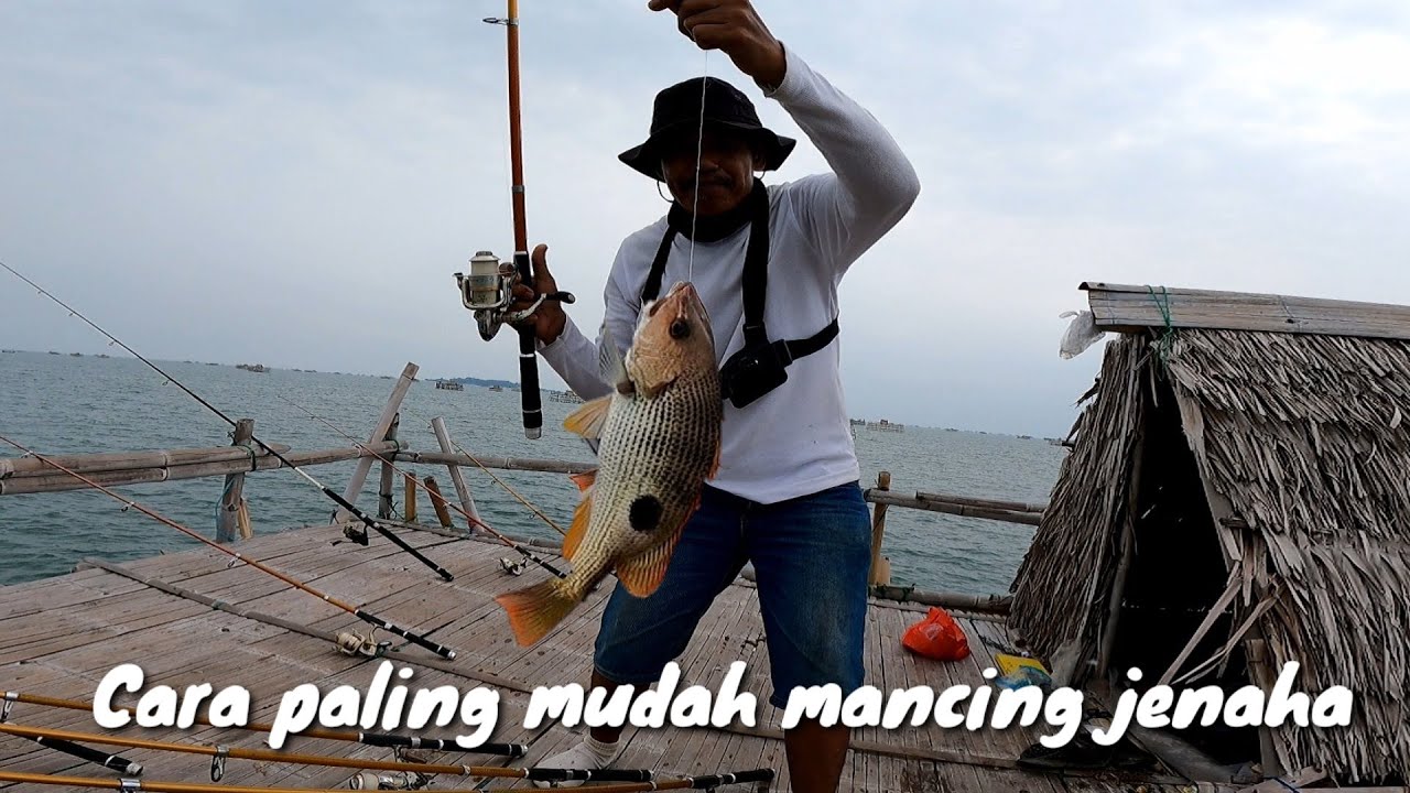 Cara dan teknik mancing ikan jenaha// umpan umpan udang peci