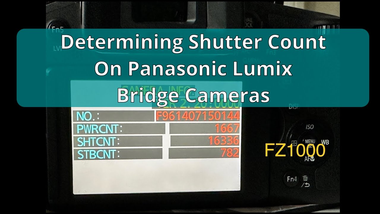 Determining Panasonic Lumix Bridge Camera Shutter Count