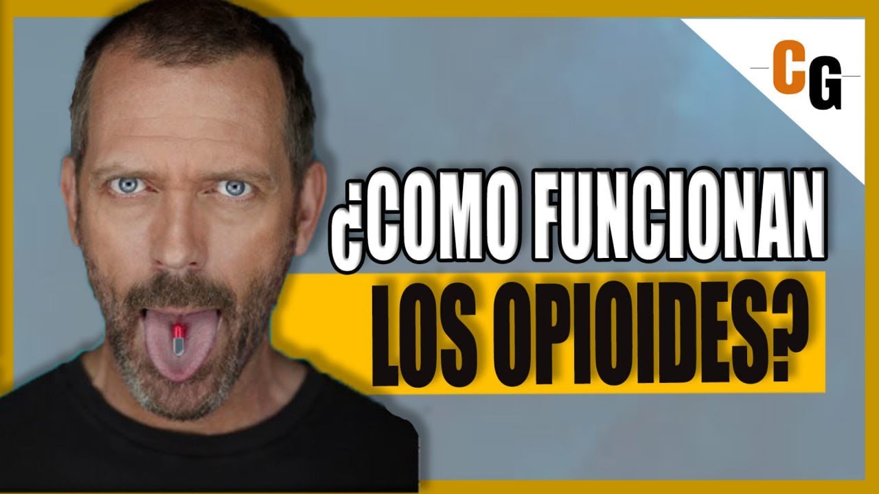 &iquest;Como funcionan los OPIOIDES? - Morfina, Fentanilo, Heroina y Otro Opioides EXPLICADOS -