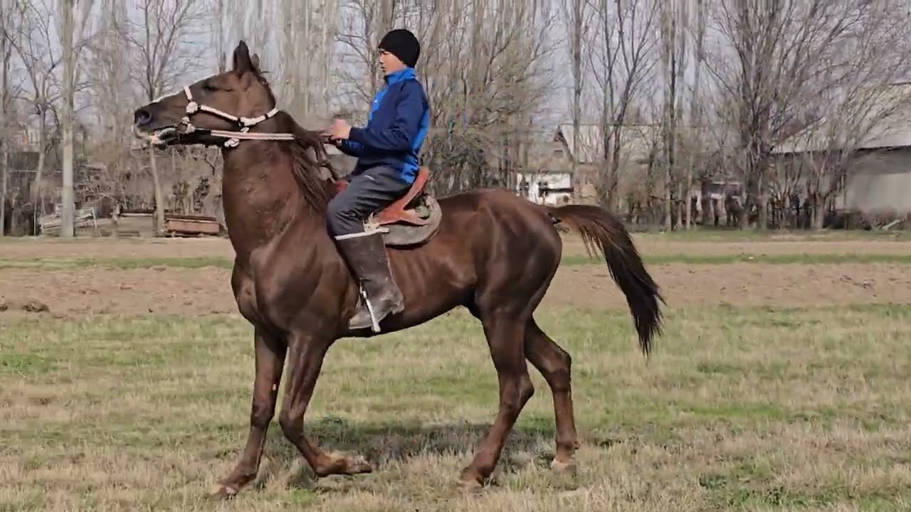 +996 778 031 057 гүлүк чыкты