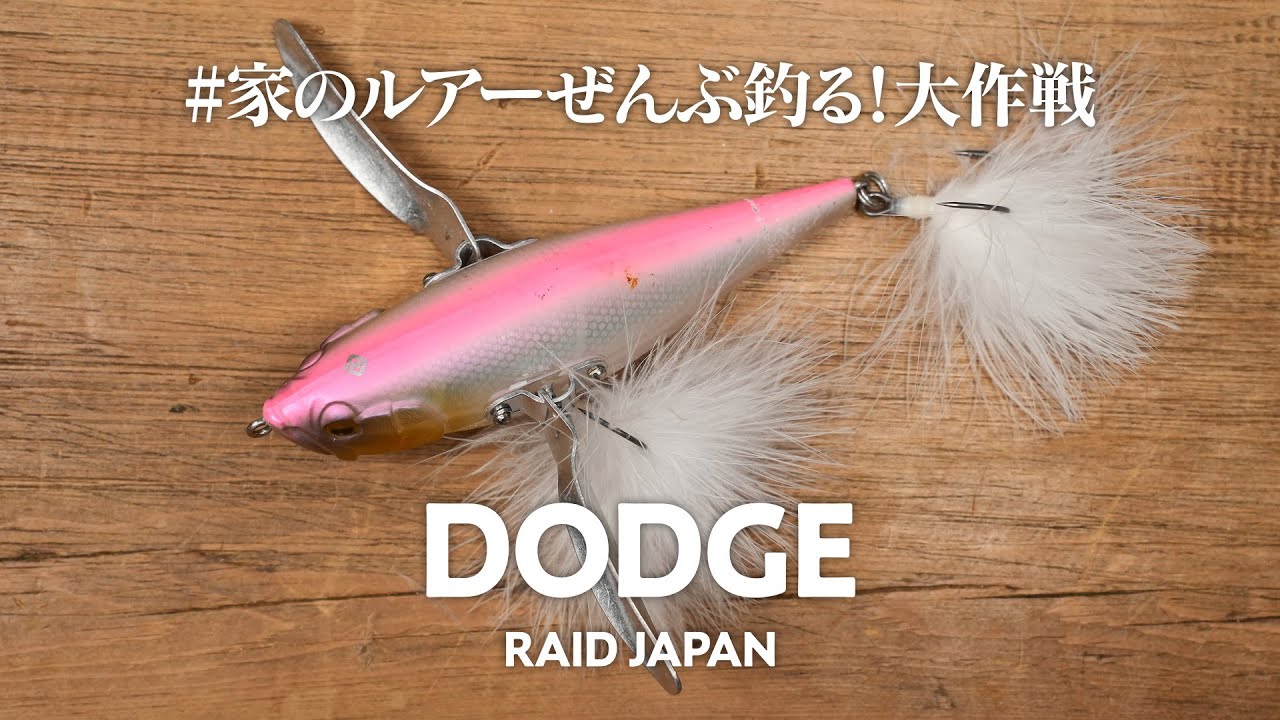 【祝10周年】サイズを問わずめちゃ釣れるフィネスなデカハネ！レイドジャパンのダッジ #家のルアーぜんぶ釣る大作戦 / 0021