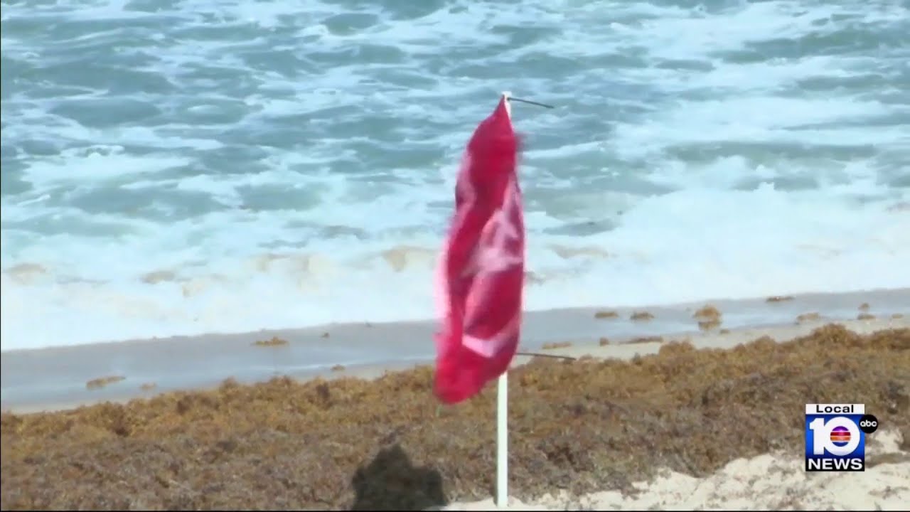 One day after boy's drowning, rip current risks remain high