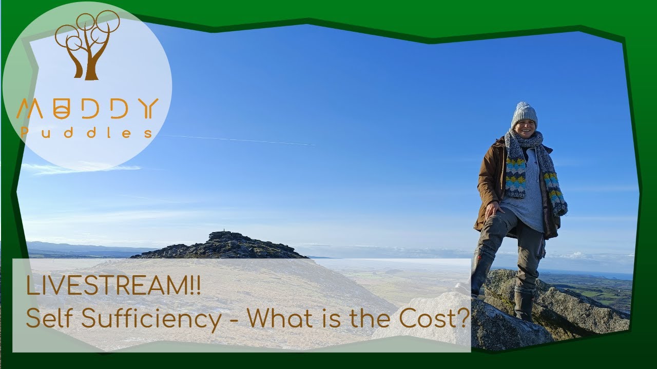 Self Sufficiency - what is the cost?