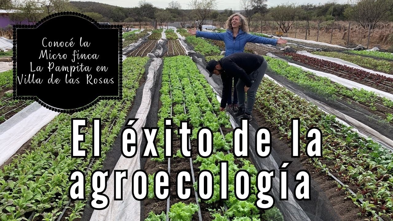 Cómo hacer AGROECOLOGIA de calidad y que FUNCIONE!. (Parte 2). El profesional responde tus dudas.