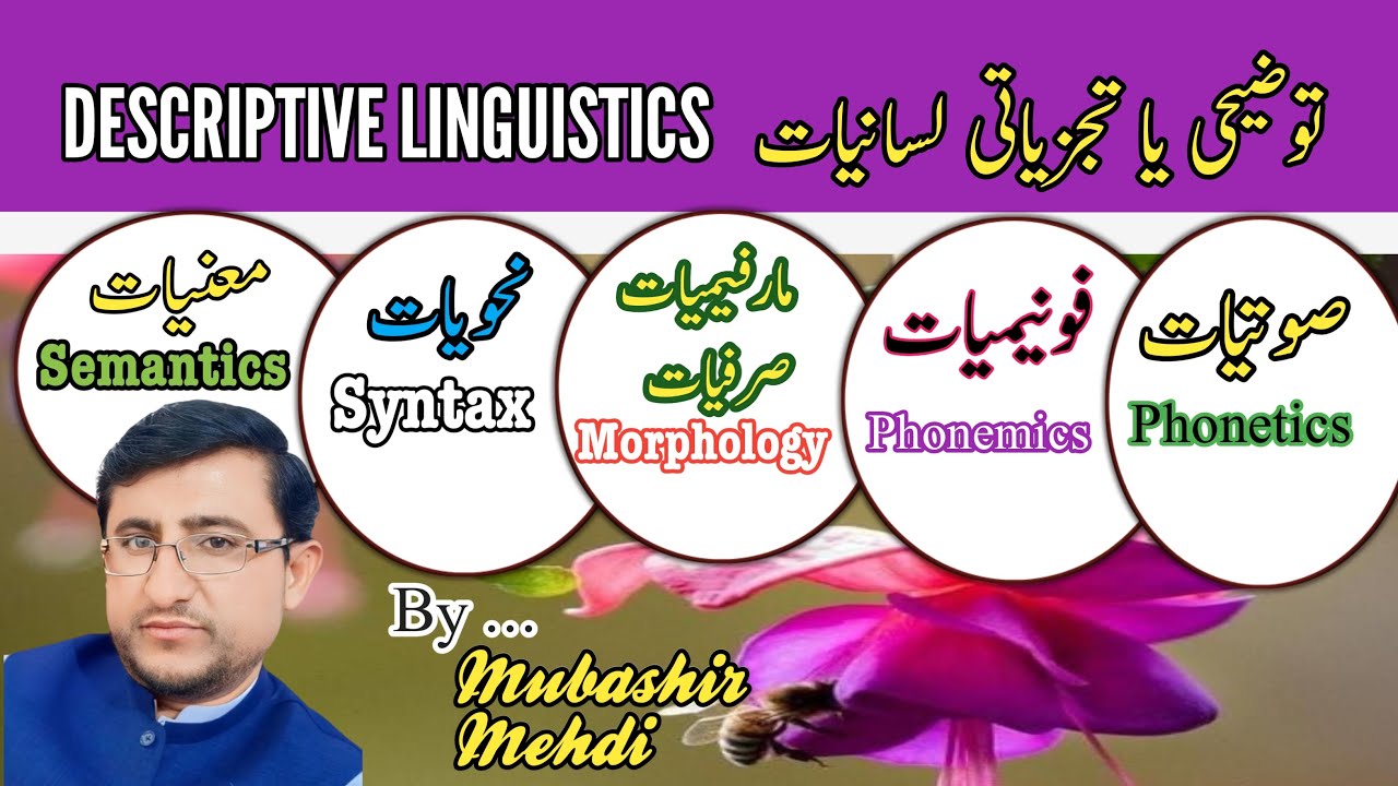 تجزیاتی لسانیات tajziati lisaniyat توضیحی tauzeehi lisaniat lisaniyaat صوتیات نحویات مارفیمیات معنیا