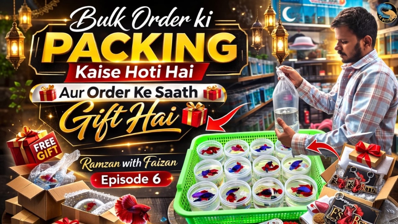 Bulk Order Ki Packing Kaise Hoti Hai? Aur Order Ke Saath Special Gift | Ramzan with Faizan Ep 6