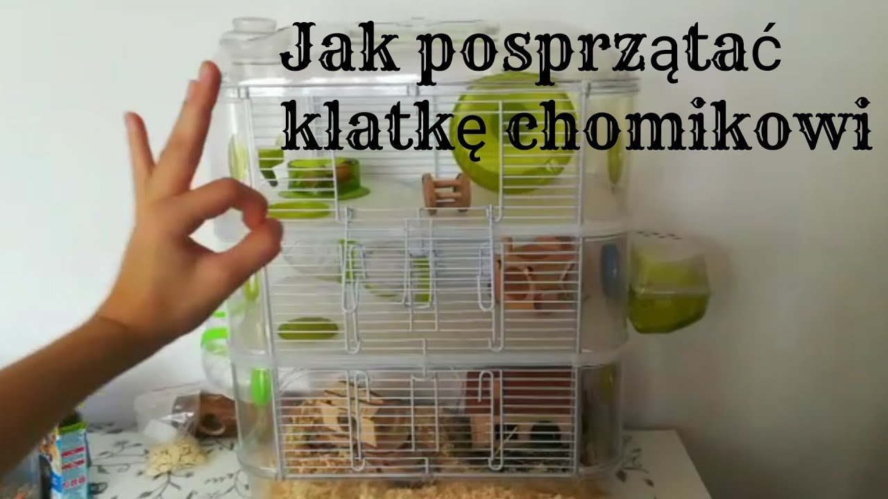 Jak posprzątać klatkę chomikowi.