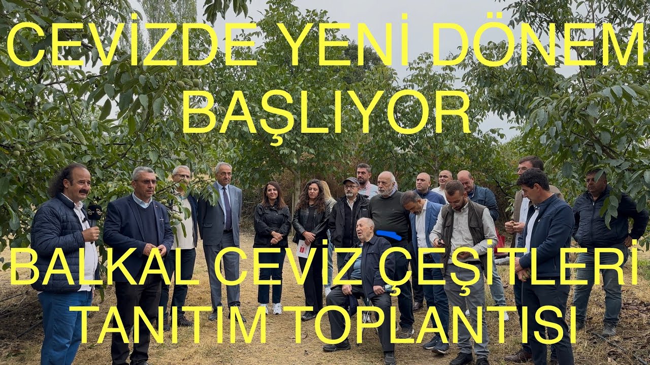 CEVİZDE YENİ DÖNEM BAŞLIYOR. BALKAL Ceviz Çeşitleri Tanıtım Toplantısı. Ceviz Adam Ahmet. #ceviz 