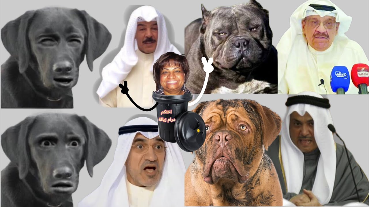 مساعد المسيليم يلقن المثير للجد و العنصري محمد الجويهل درساً بعدما اقتحم احدى المساحات واقحم الامير