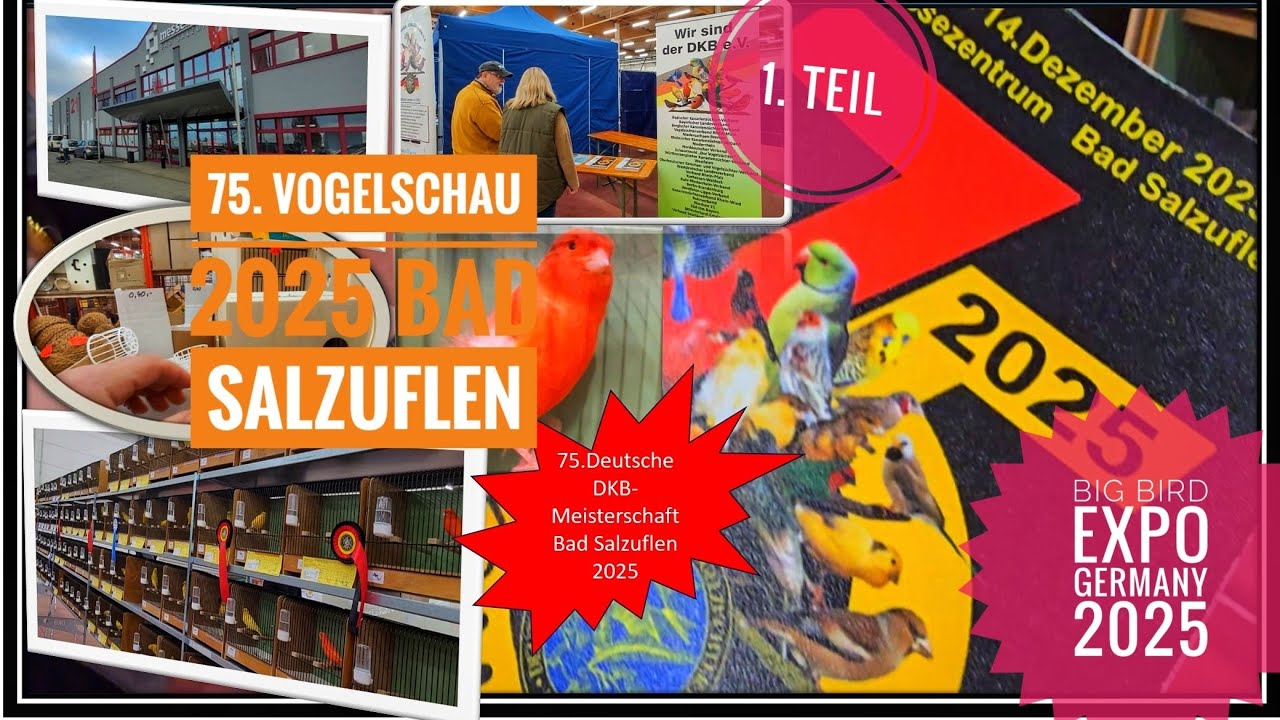 75. DM VOGELSCHAU BAD SALZUFLEN, Große  Vogelbörse  der  DM - BİGGEST #BIRDSHOW 12- 2025 GERMANY 