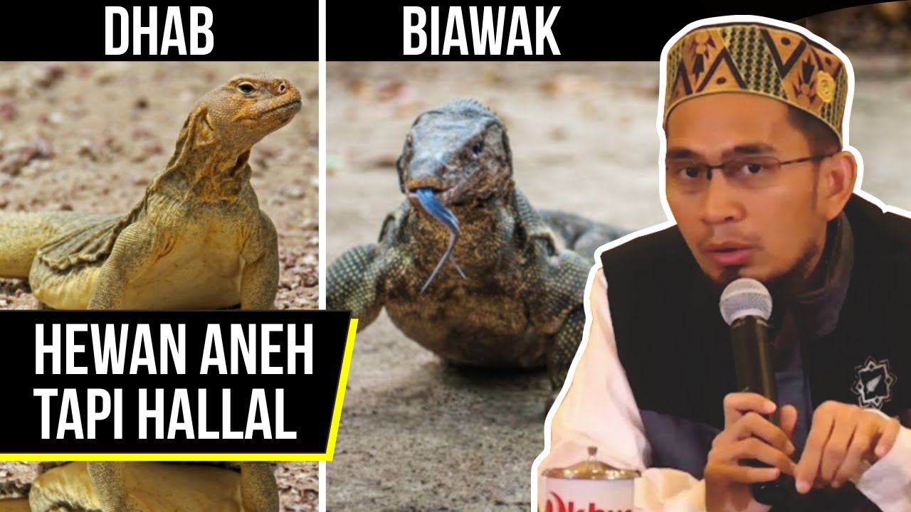 Hukum Memakan Dhab (Sejenis BIAWAK) - Ustadz Adi Hidayat LC MA