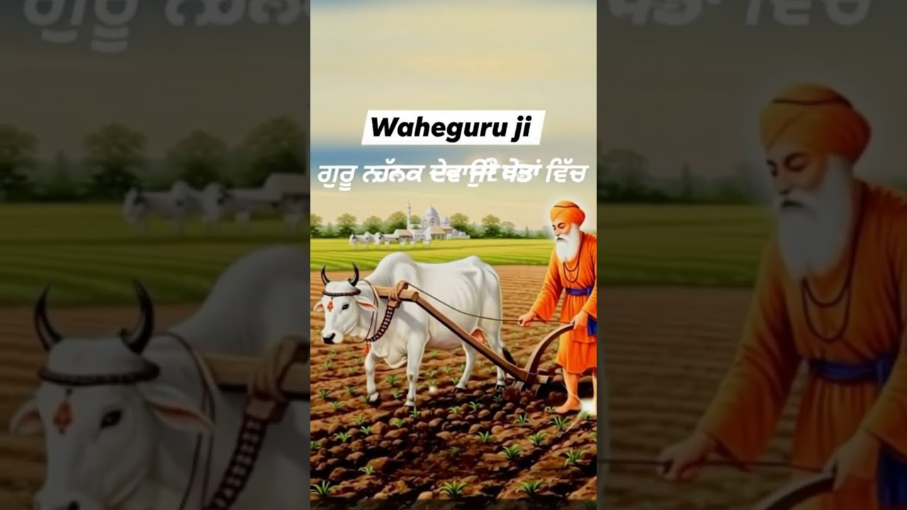 Guru Nanak dev ji || Guru Granth sahib ji || #ikonkaartv #wahguru #gurbanishabad #sikhguru#sikhism