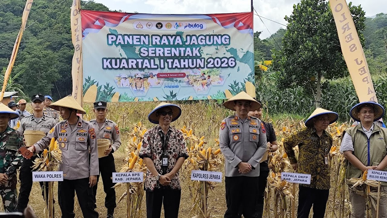 PANEN RAYA JAGUNG SERENTAK KUARTAL I TAHUN 2026