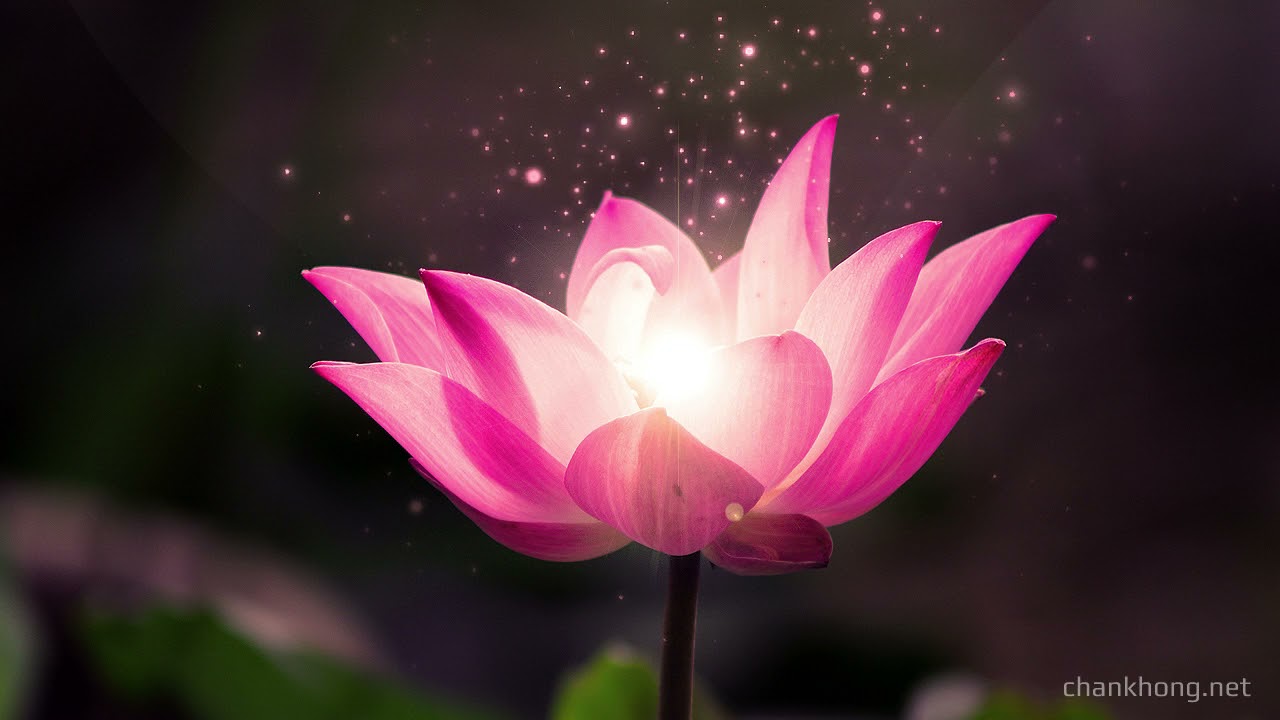 Làm thế nào để nhận ra Tánh người và Tánh Phật