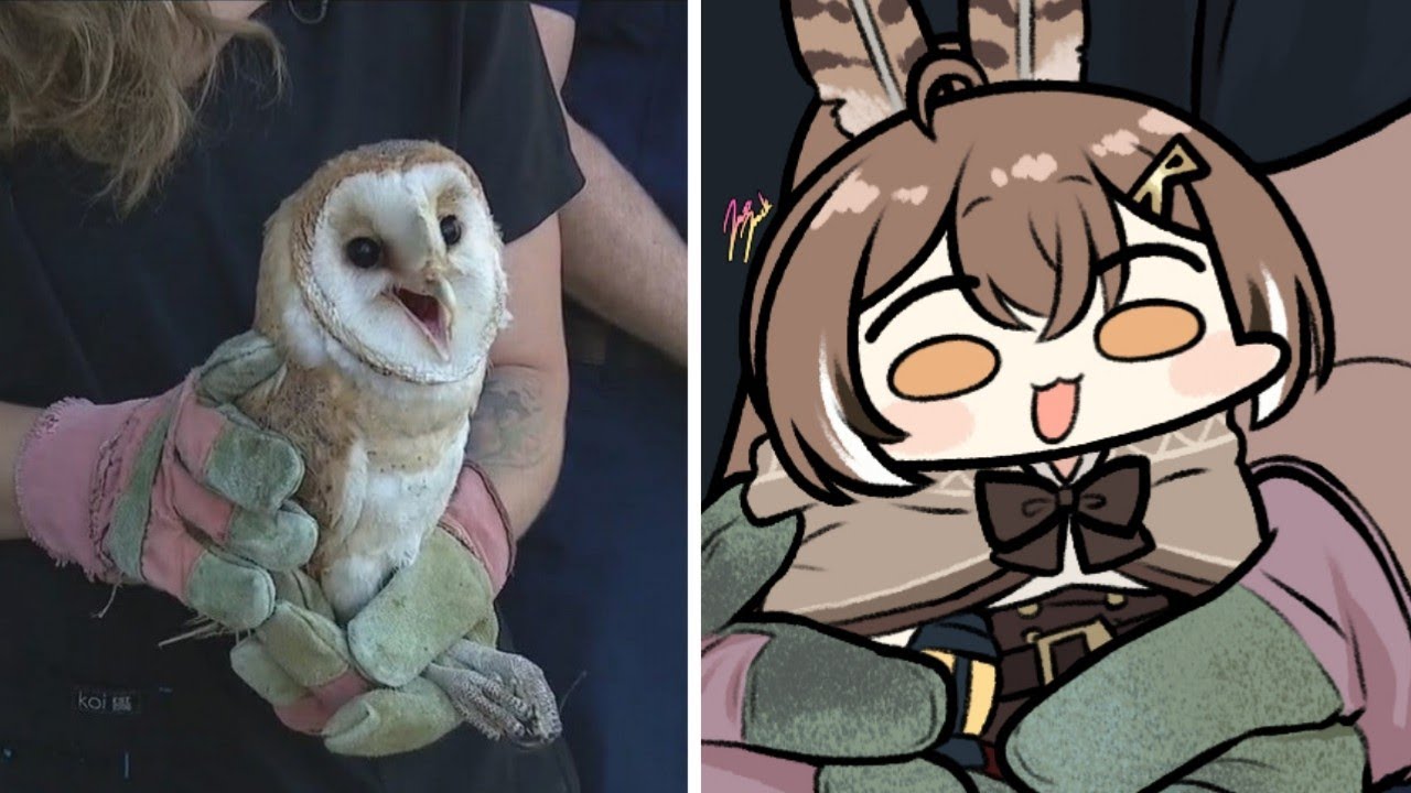 Random mumei owl | Animal hololive