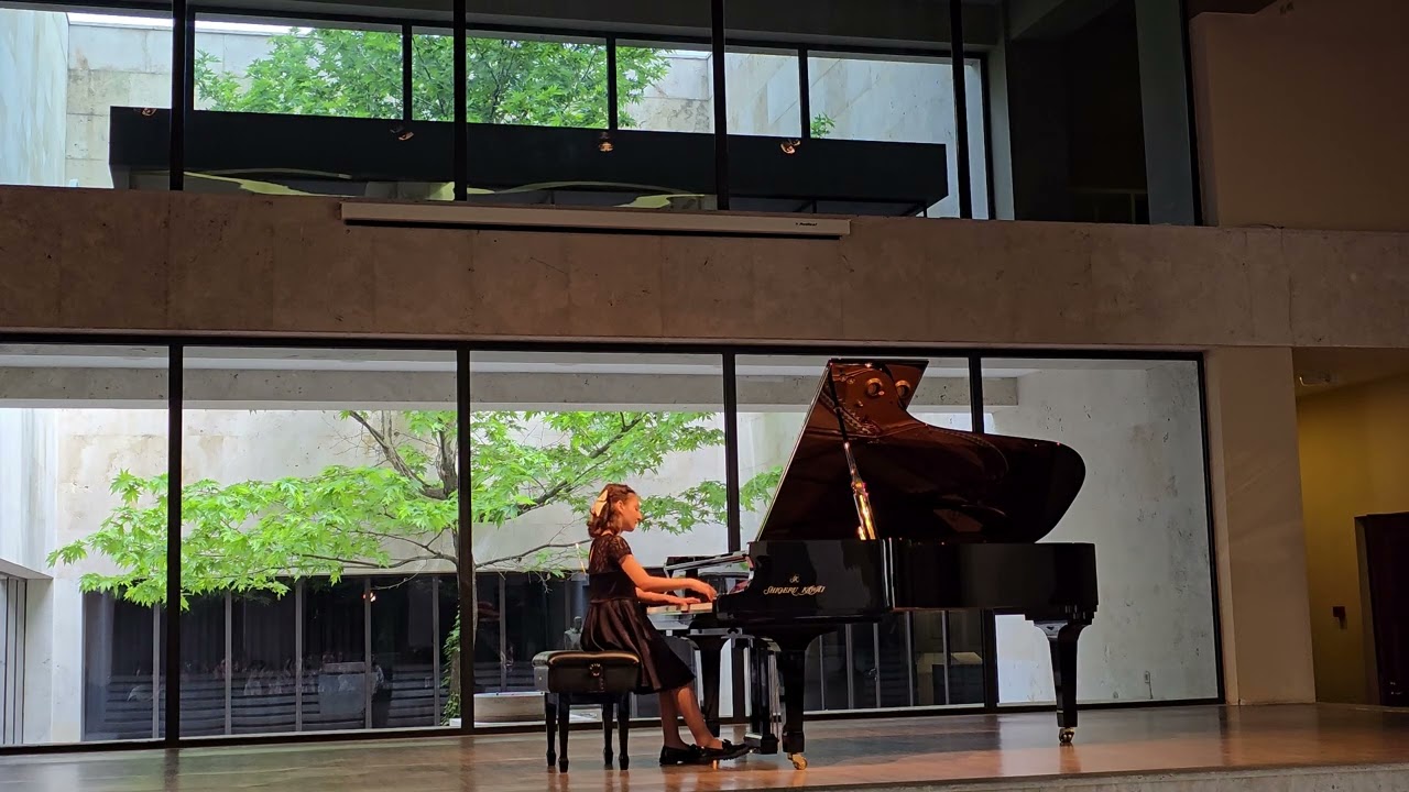 Frederic Chopin - Waltz in E Minor