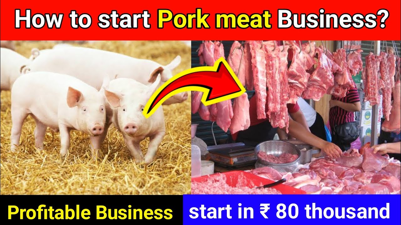 How To Start Pig meat shop? Pork meat shop Step-by-Step business plan (Is this Business  profitable)