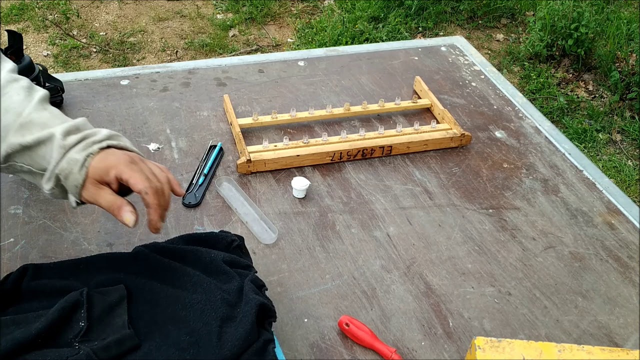 Βασιλοτροφια 2019 μερος 4