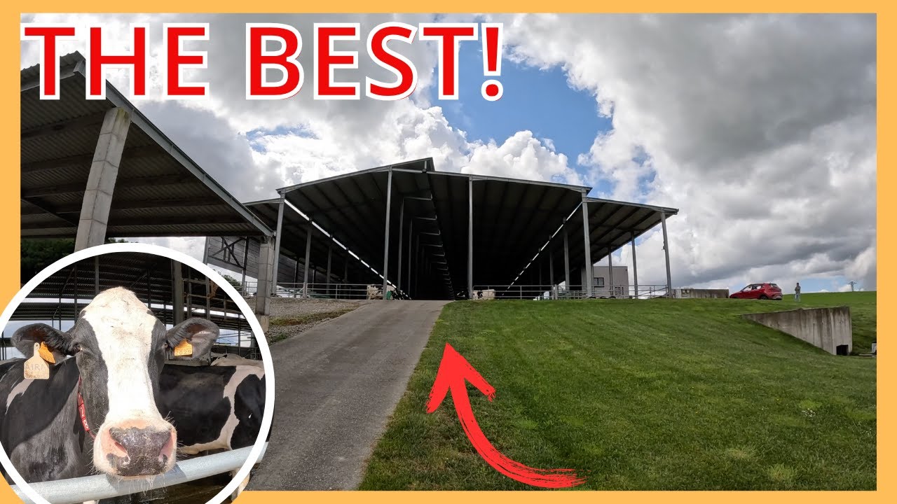 DIT heb ik Nog NOOIT Gezien - 100 KG! - Farm Vlog