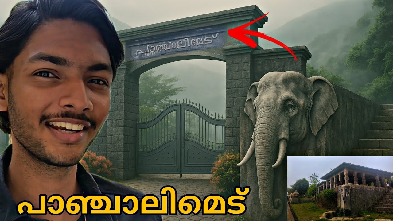 EP#12 പാഞ്ചാലിമേടിന്റ മനോഹാരിതകൾ - Panchalimedu | Idukki! Part -1
