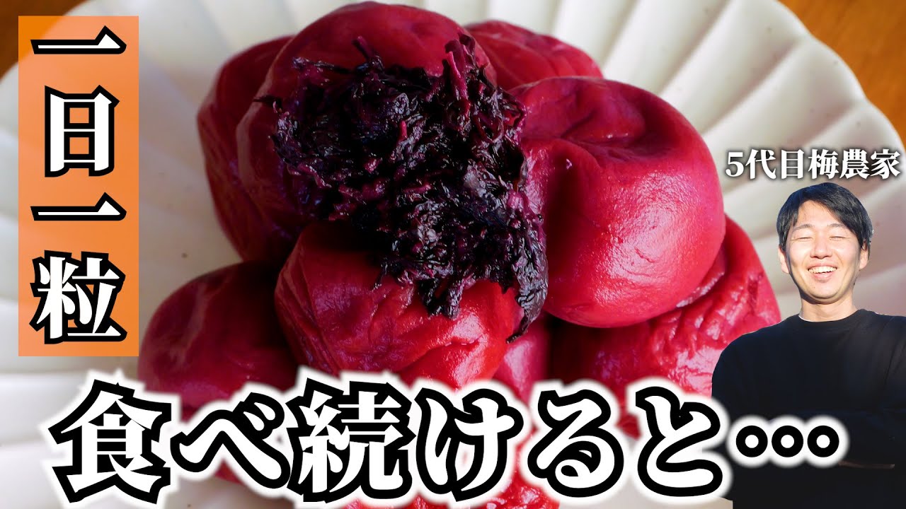 【免疫アップ】梅を毎日食べるとどうなる？梅干し屋が梅の健康効果を解説